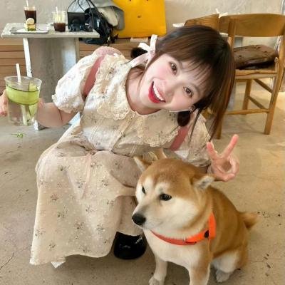 喵星人的奇思妙想